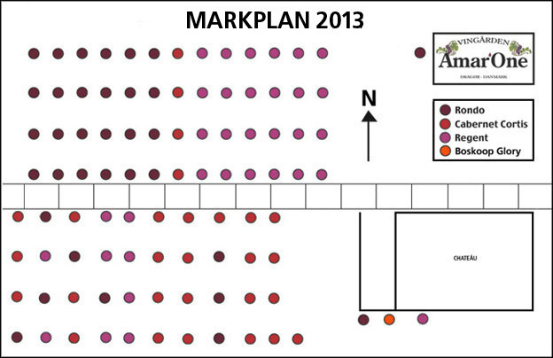 Markplan 2013