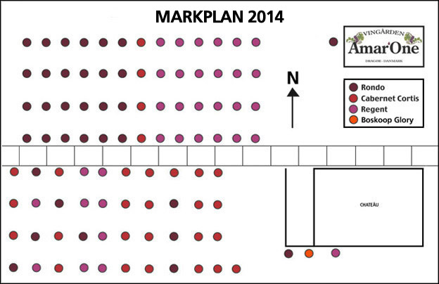 Markplan 2014