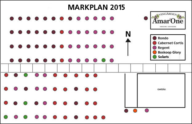Markplan 2015