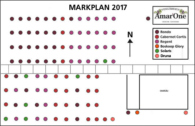 Markplan 2017